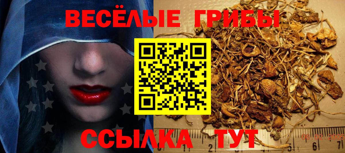 Псилоцибиновые грибы ЛСД Тихорецк