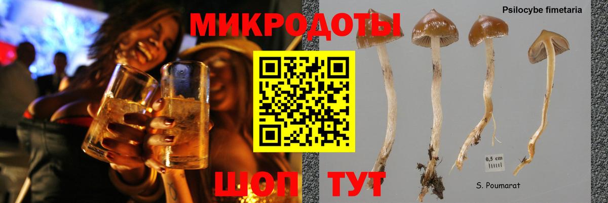 Псилоцибиновые грибы Psilocybe  наркотики  Тихорецк  Вход с VPN 