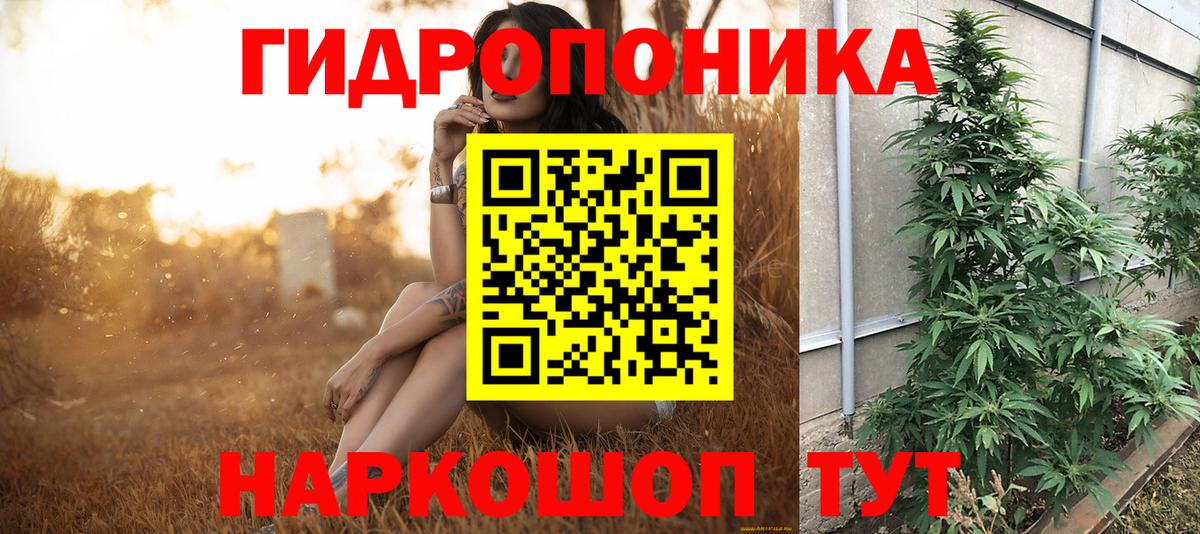 Канабис индика  Бошки Шишки конопля  Вход с VPN  Тихорецк 